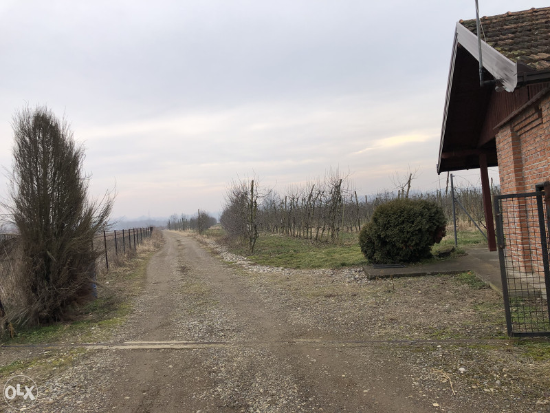 PRODAJEM ZEMLJU VOCNJAK GRADACAC 24 DULUMA 11