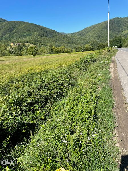 Suma, zemljiste 42.319  m2  Rujevica/ K. Varos