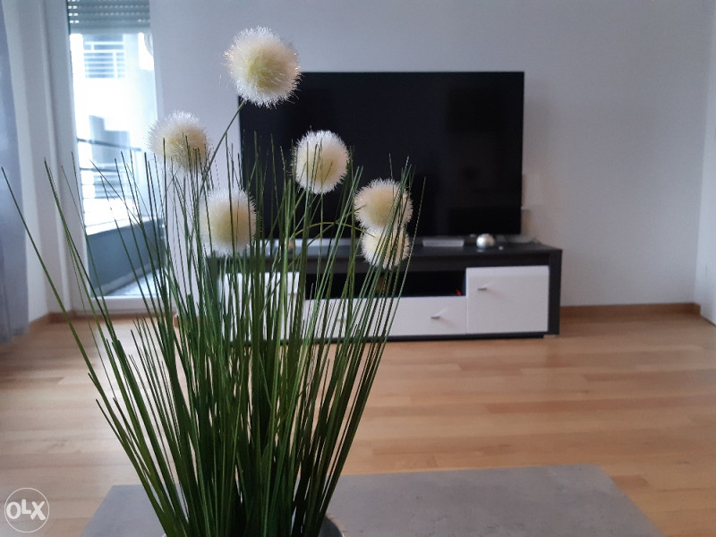 Apartman Dijana Stan na dan Banja Luka 065416306 4