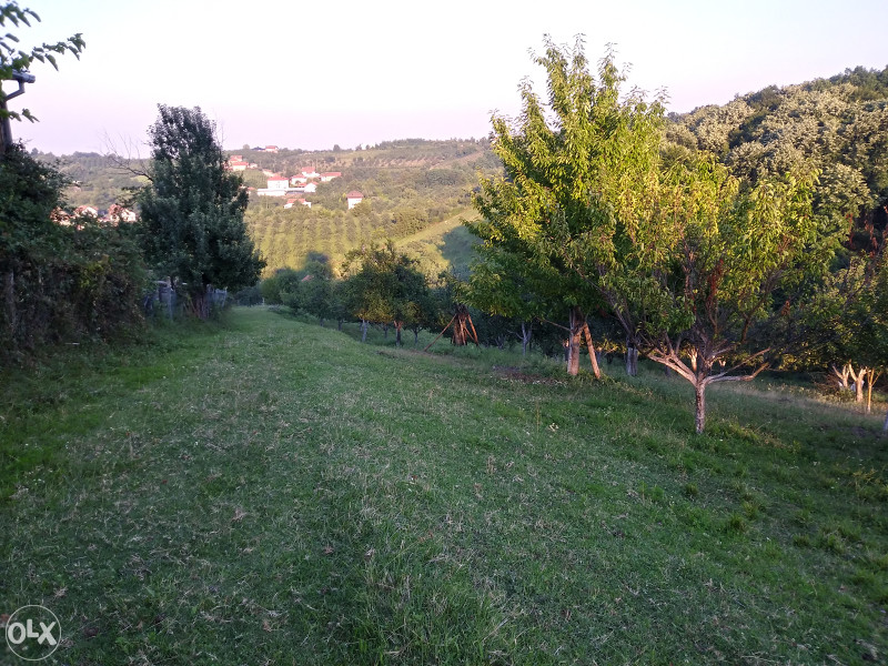 TRAVNJAK zemljište 3
