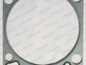 Dihtung glave man tga 18.310 1.25 mm -Payen