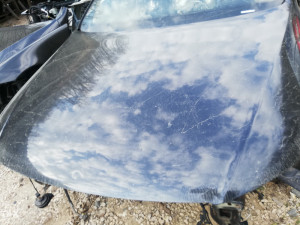 Hauba passat 6
