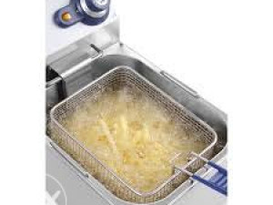 FRITEZA ELEKTRICNA