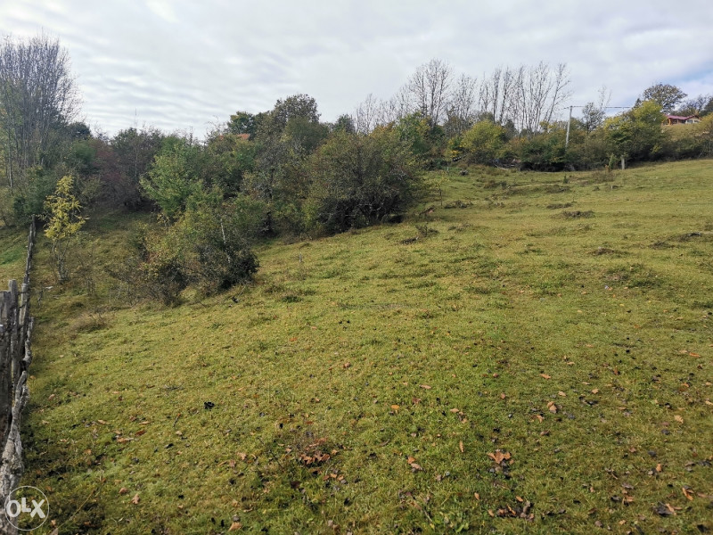 Zemljište u Olovu(Ponijerka 40000m2 ) 11