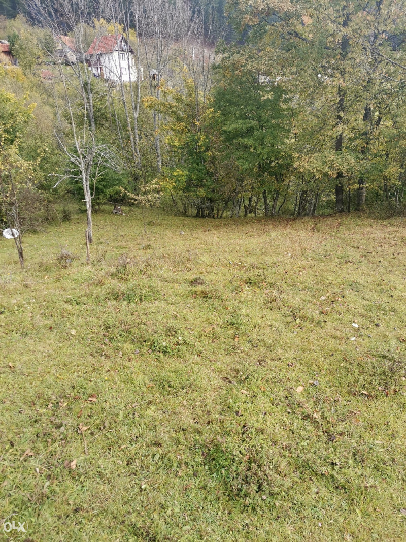 Zemljište u Olovu(Ponijerka 40000m2 ) 10