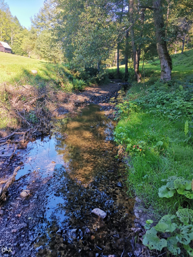 Zemljište u Olovu(Ponijerka 40000m2 ) 7