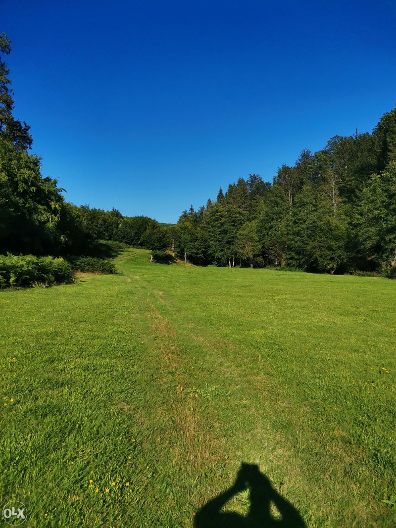 Zemljište u Olovu(Ponijerka 40000m2 ) 6