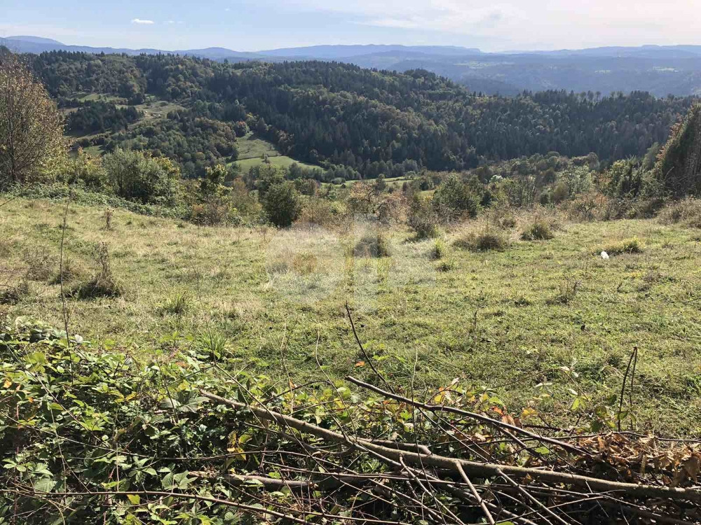 Zemljište u Olovu(Ponijerka 40000m2 ) 12