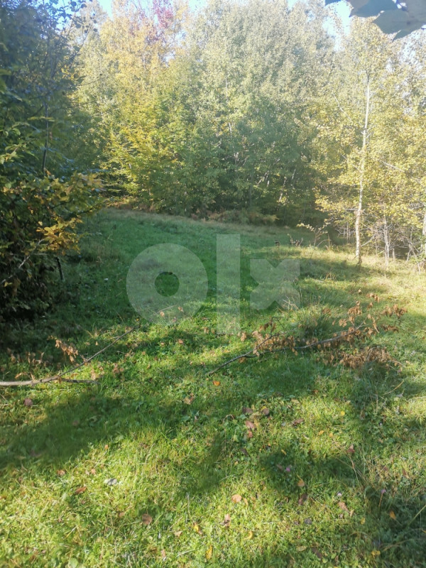 Zemljište u Olovu(Ponijerka 40000m2 ) 13
