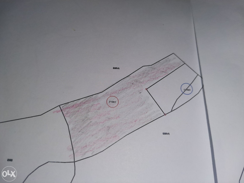 Zemljište u Olovu(Ponijerka 40000m2 ) 5
