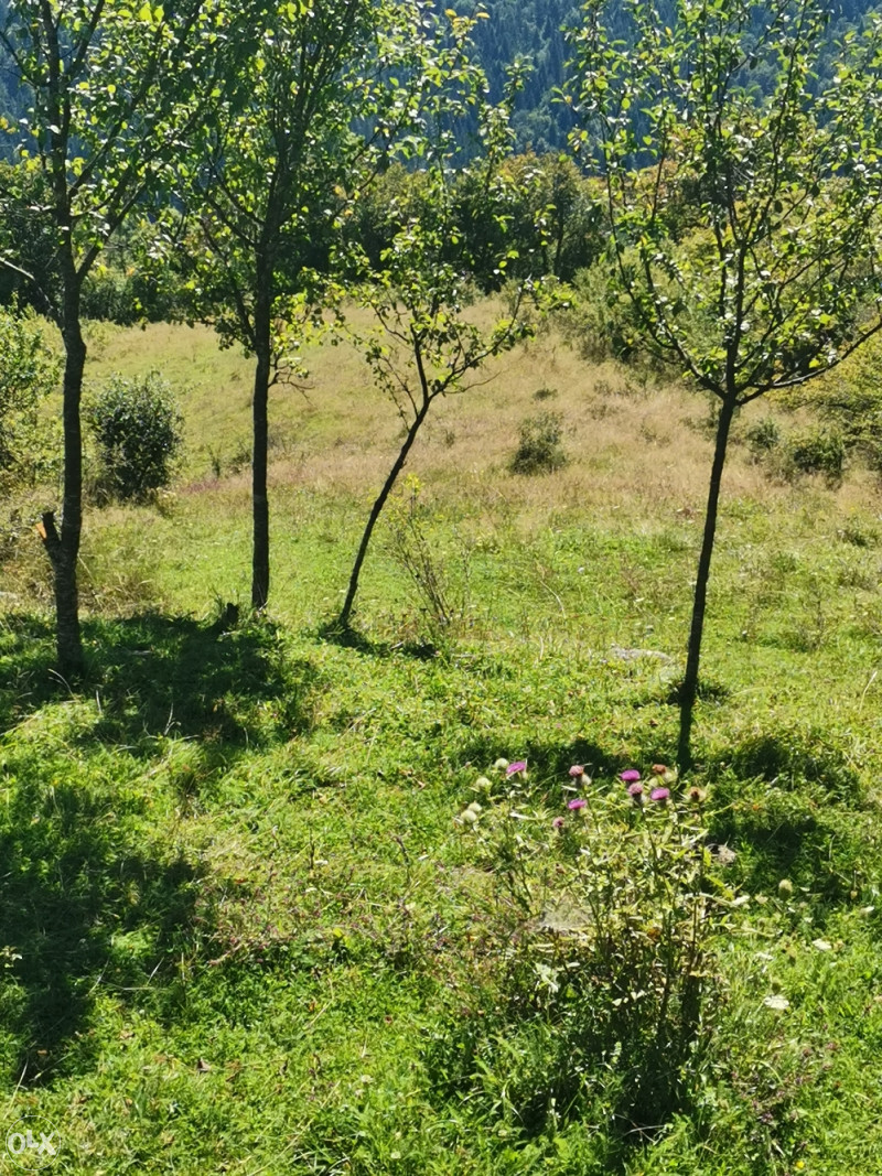 Zemljište u Olovu(Ponijerka 40000m2 ) 8