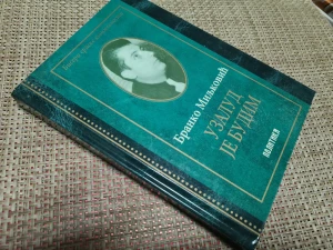 Uzalud je budim, Branko Miljković