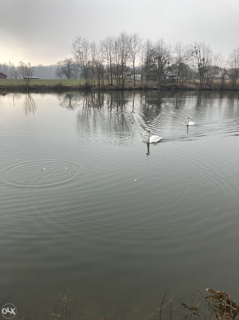 Vikendica gradacac jezero vidara relax 14
