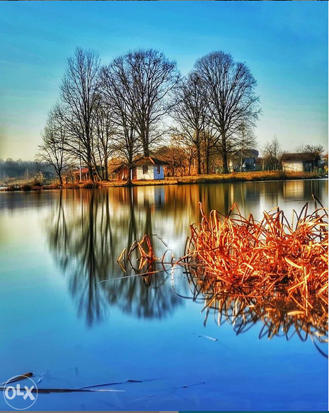 Vikendica gradacac jezero vidara relax 12