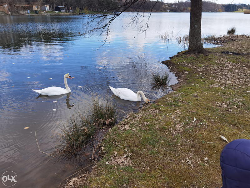 Vikendica gradacac jezero vidara relax 7