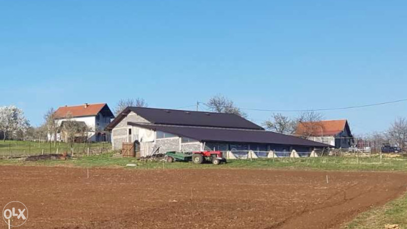Imanje-Farma  sa kucom i velikom stalom
