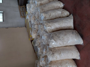 Pucvala, pamučnjak 1/1 10/1