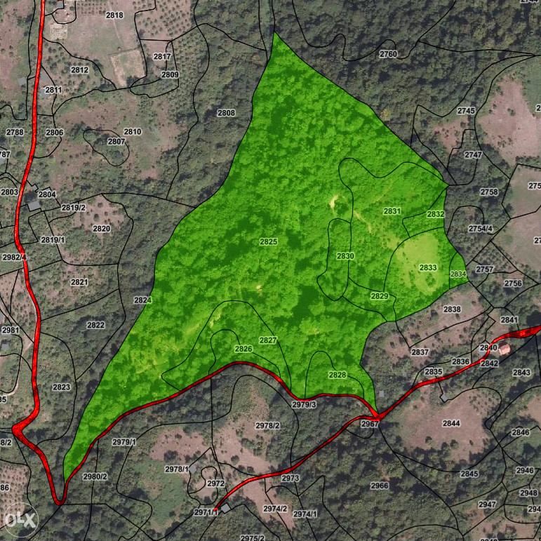 Plac - Zemljište - Šuma - Goražde / Gorazde zemljiste 7