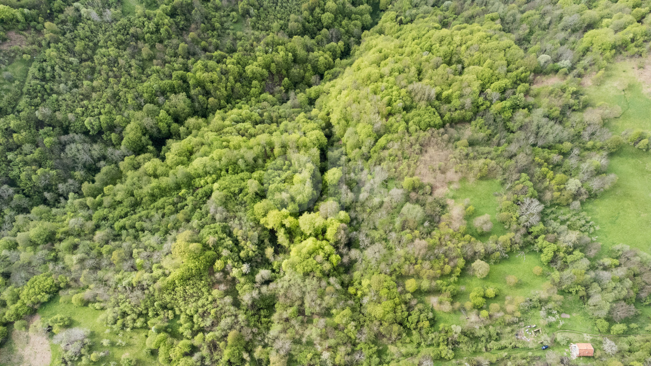 Plac - Zemljište - Šuma - Goražde / Gorazde zemljiste