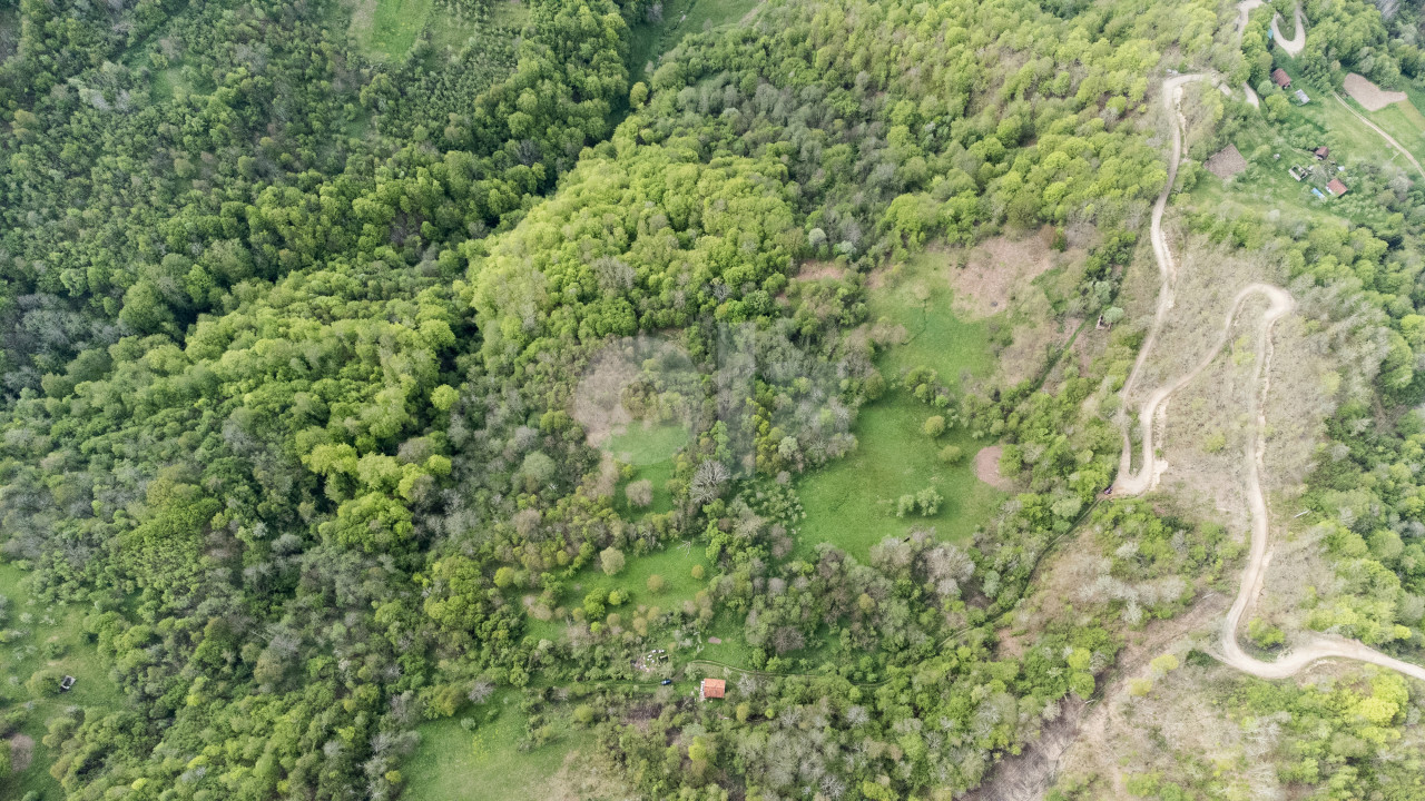 Plac - Zemljište - Šuma - Goražde / Gorazde zemljiste 3