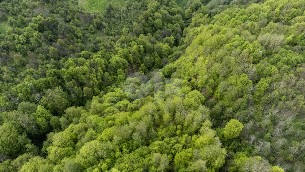 Plac - Zemljište - Šuma - Goražde / Gorazde zemljiste 2
