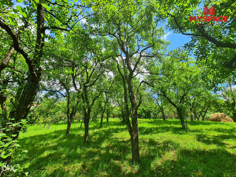 MY SPACE/ Zemljiste sa kucom/ Stara Breka/ 2854 m2 2