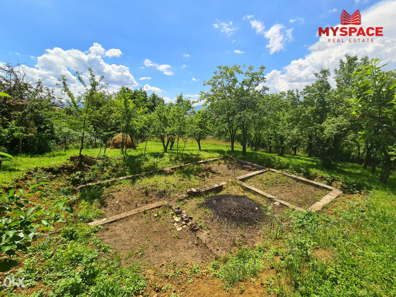 MY SPACE/ Zemljiste sa kucom/ Stara Breka/ 2854 m² - Ansicht 6