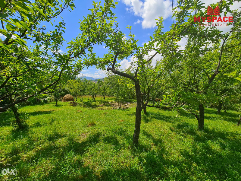 MY SPACE/ Zemljiste sa kucom/ Stara Breka/ 2854 m² - Mehr