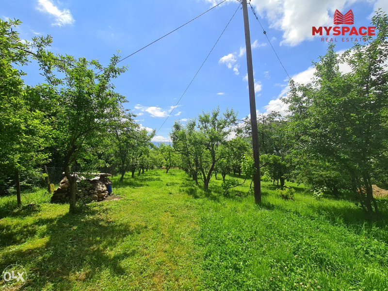 MY SPACE/ Zemljiste sa kucom/ Stara Breka/ 2854 m2 9
