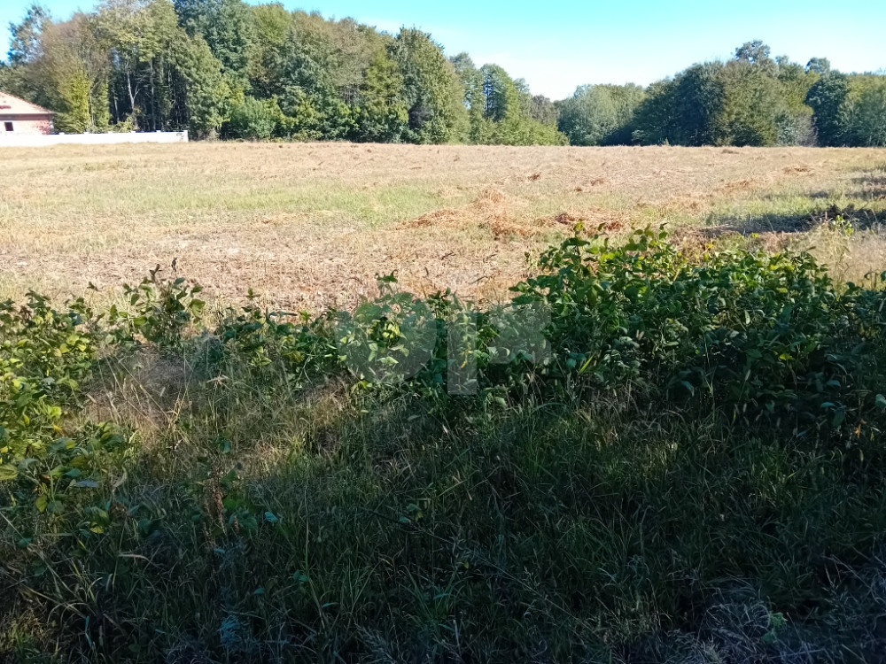 Gradjevinsko zemljiste u Potocarima kod Brckog 5