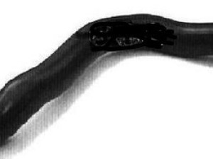 CRIJEVO VODE FIAT PUNTO 1.7D 42kW -AC