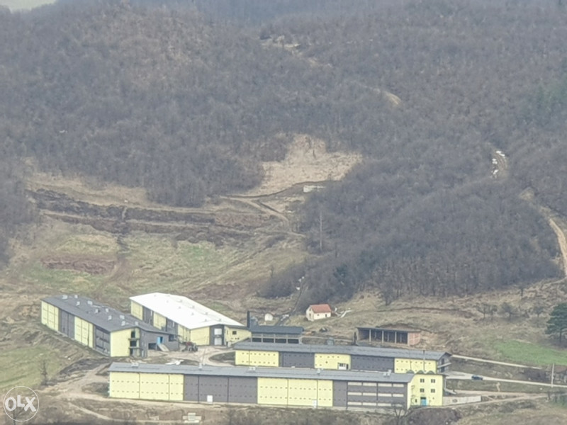 Farma pilica Visoko