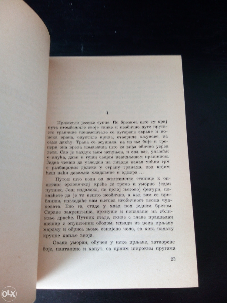 knjige , Svetolik Ranković - Seoska učiteljica / Roman