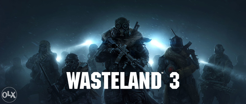 Wasteland 3 Deluxe Edition  PC DVD USB RACUNAR
