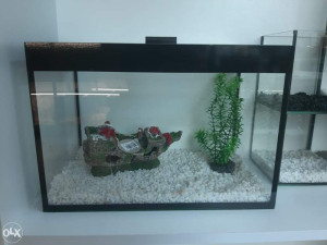 Akvarijum 24 l