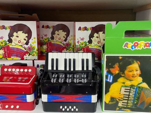 HARMONIKA DJECIJA ( 2X VRSTE )