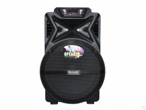 ZVUČNIK 15 PROFI 1500W,2 MIKROFONA