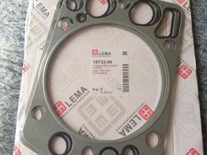 Diktung glave motora man kec