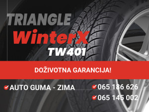 195/50R15 TRIANGLE WINTERX-TW401 195/50R15 (195 50 15)