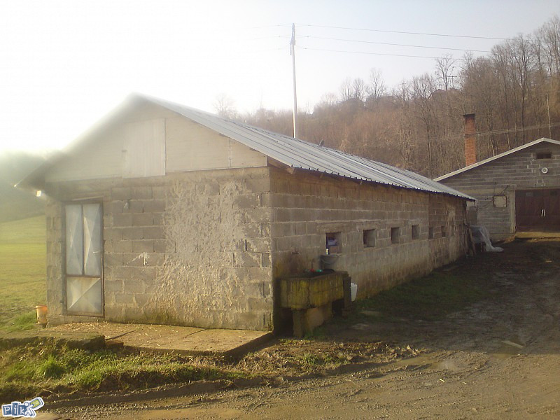 Kuća i Farma  pilića Gradačcu 6