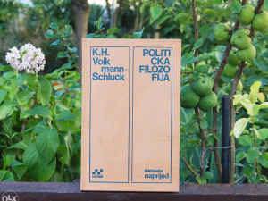 Politička filozofija - Karl Heinz/ V. Schluck