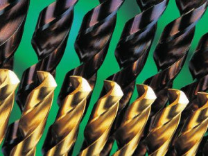 SVRDLO BORER  SVRDLA COBALT RECA SVE MJERE