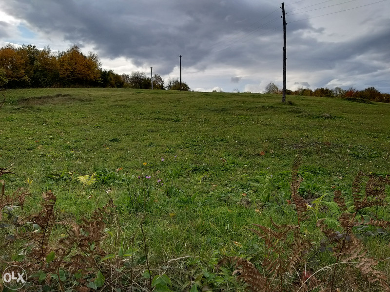 Zemljište u Ljubačevu - 9382 m2 5
