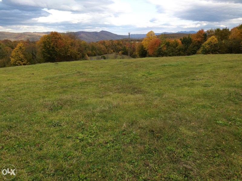 Zemljište u Ljubačevu - 9382 m2 40
