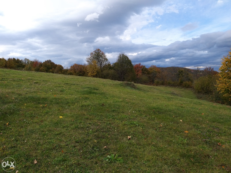 Zemljište u Ljubačevu - 9382 m2 33