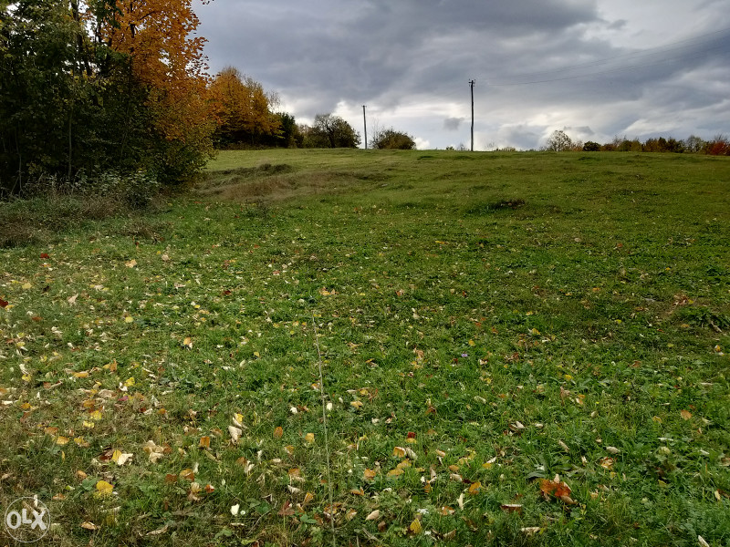 Zemljište u Ljubačevu - 9382 m2 4