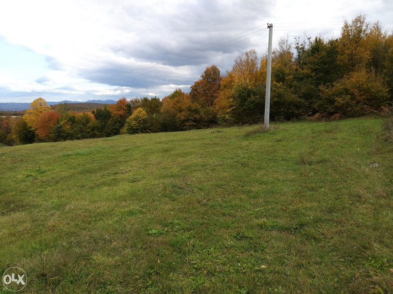 Zemljište u Ljubačevu - 9382 m2 8