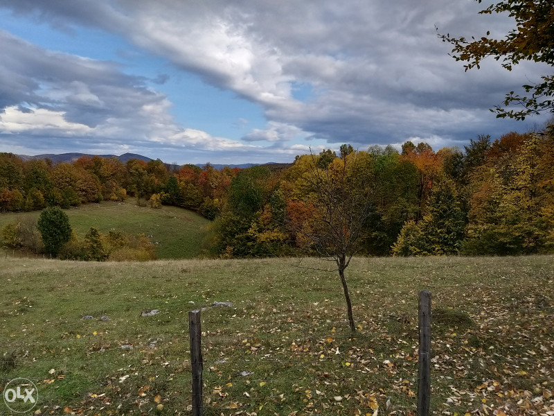 Zemljište u Ljubačevu - 9382 m2 3