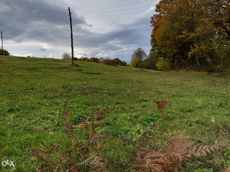Zemljište u Ljubačevu - 9382 m2 6