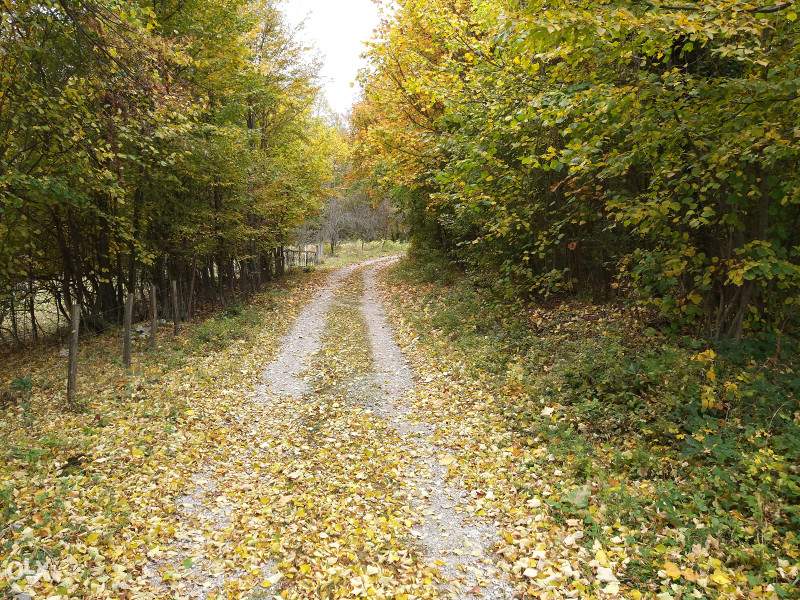 Zemljište u Ljubačevu - 9382 m2 24